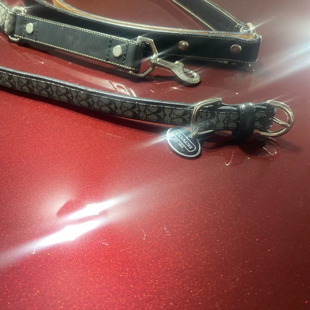 Coach Dog leash and collar